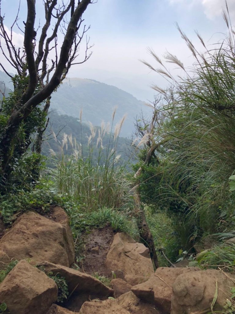 大屯山西峰封面圖