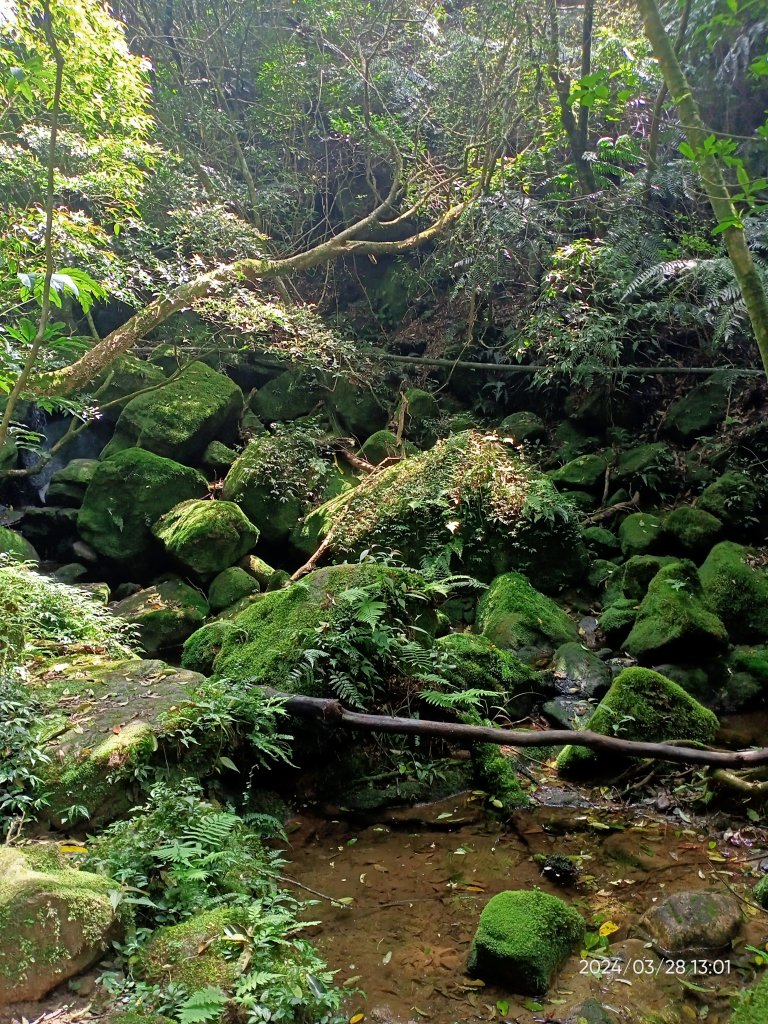 【臺北大縱走4】風櫃嘴→雙溪溝古道→五指山古道→大崙頭山北面步道→許願步道→圓覺寺步道→大溝溪→大湖_2469084