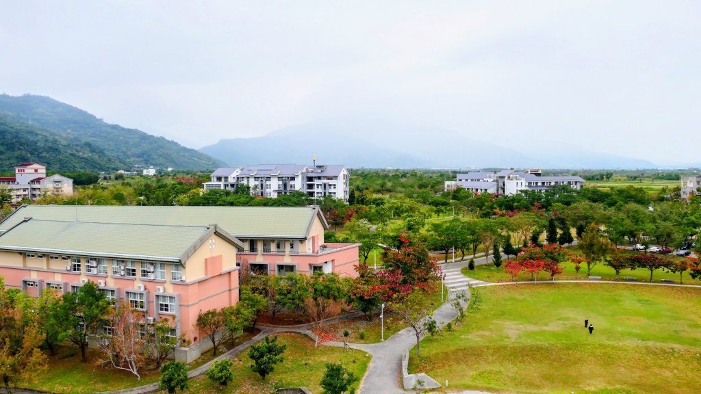 台東大學_3015146