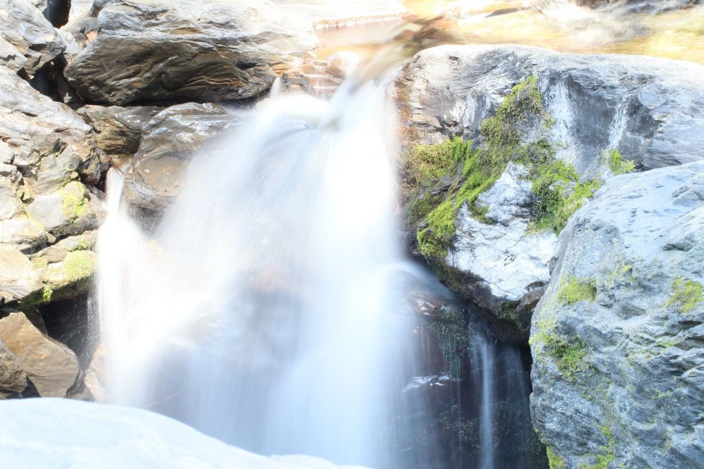 合歡溪步道健行_174477