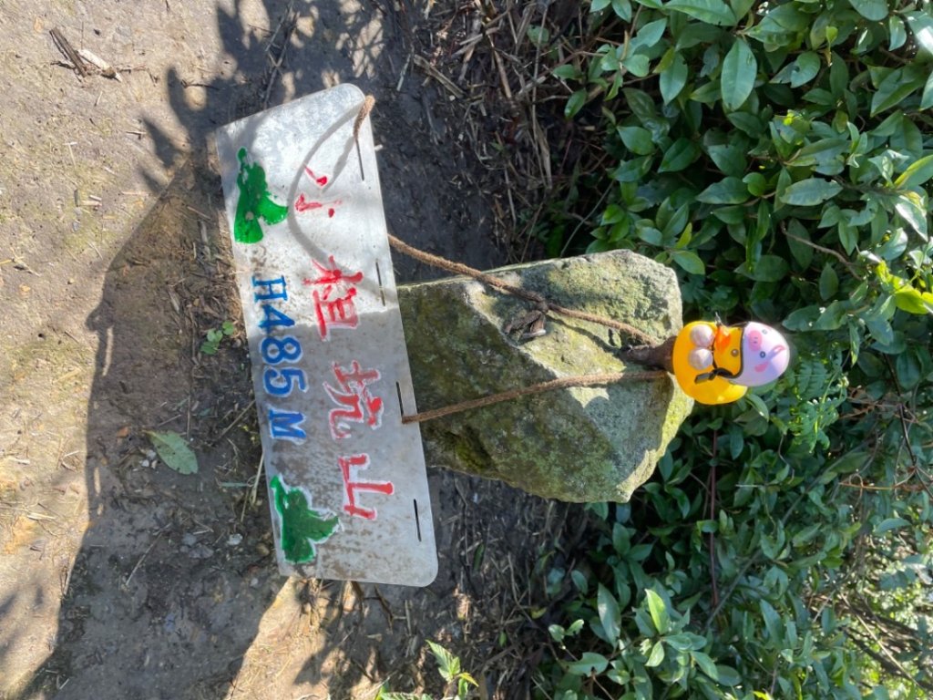 雙溪-四柑-後番子坑古道-土地公-上下內平林-大平林山-石笋-焿子寮古道-猴硐-金瓜石大小粗坑古道_2712578