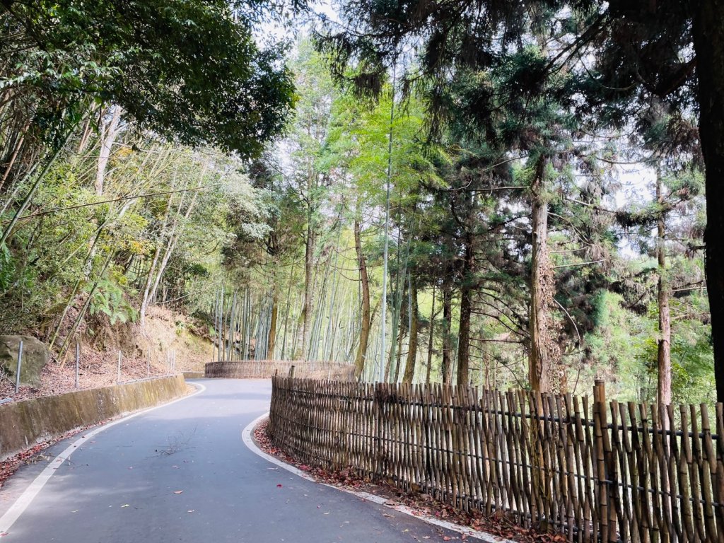 雲嶺之丘順走番仔田三角點_2471067