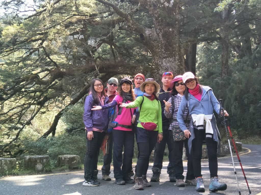 2018.03.17 郡大山麟趾山特富野_290740