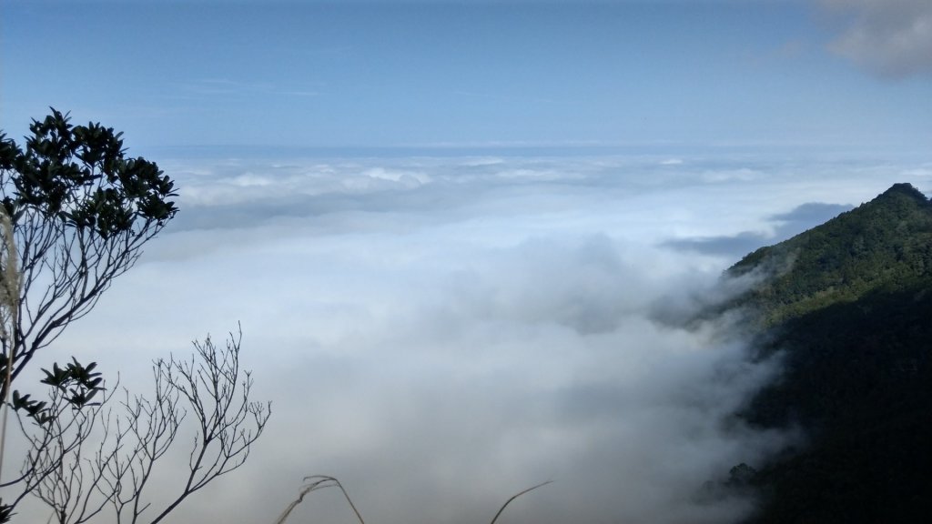 仙山登山步道_503228