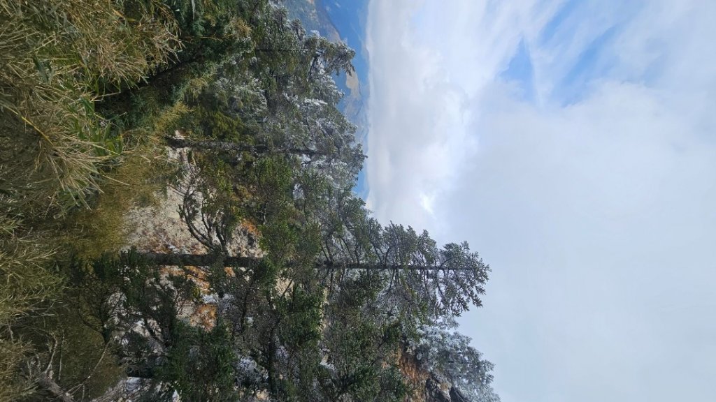 112.3.13～3.14 冰封奇萊主北_2074428