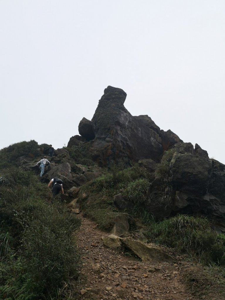 茶壺山封面圖