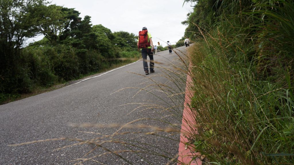 陽明山東西大縱走活動_402949