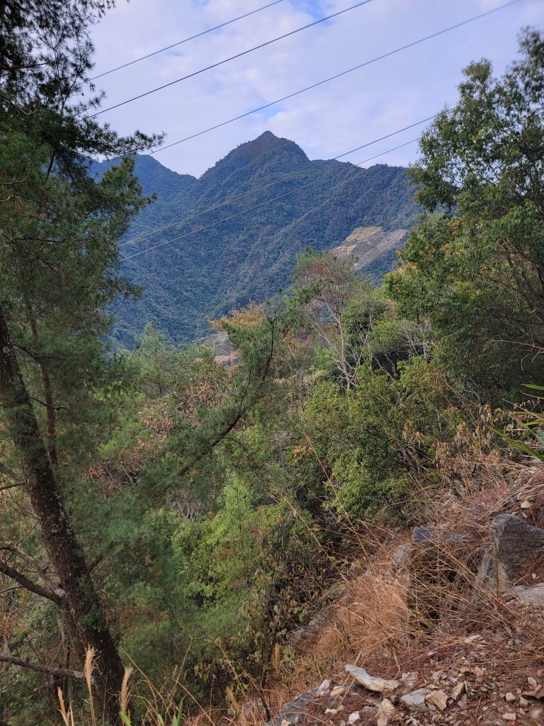 2026-0201-東卯山_3013015