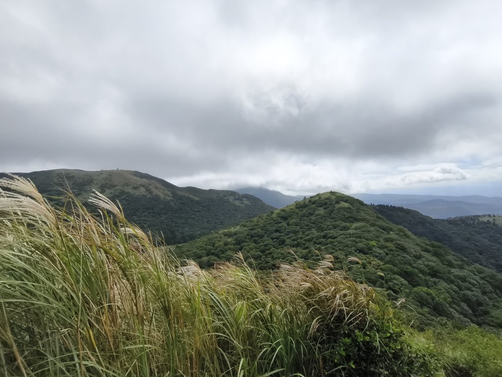 [百山百鳥尋旅-11/15] 2025_0927 大屯主峰-連峰步道_大屯山西峰_2899468