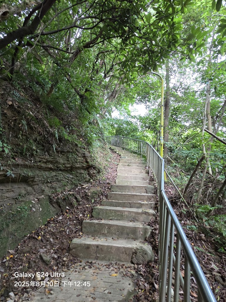 2025-08-10臺北大縱走第六段：中華科技大學至捷運麟光站_2856621