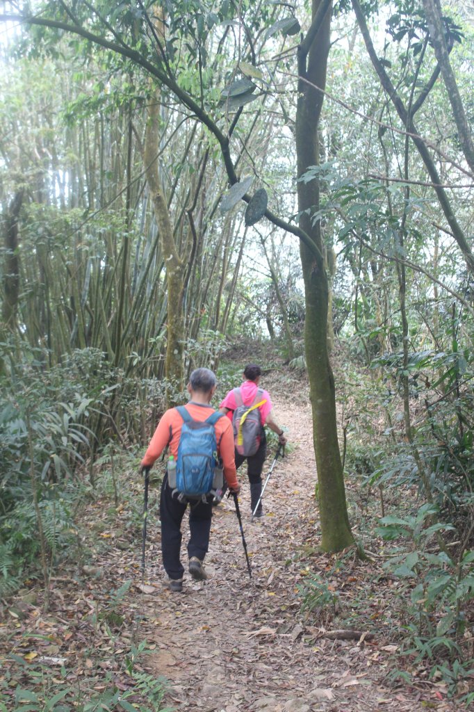 20240330台南雞九凍-雞胸山縱走_2470016