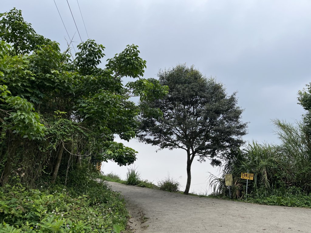 2023_0429_挑筍古道_2138208