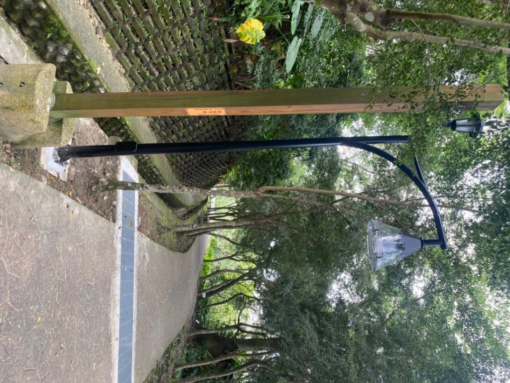 20230415美崙山_2113091