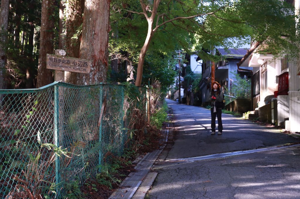 熊野参詣道小辺路：山と村をつなぐ古の道_2923365