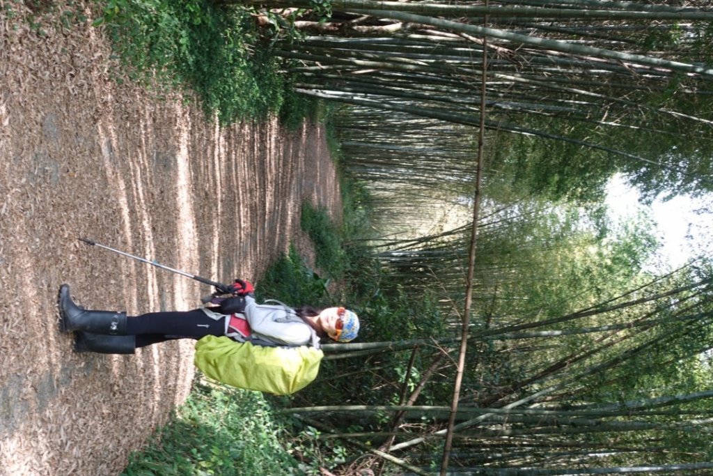 頂湖六連峰_1991647