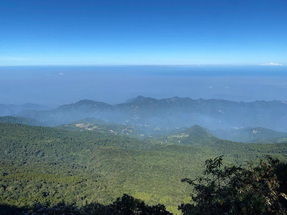 苗栗_大坪出發~杜鵑嶺/加里山_1485801