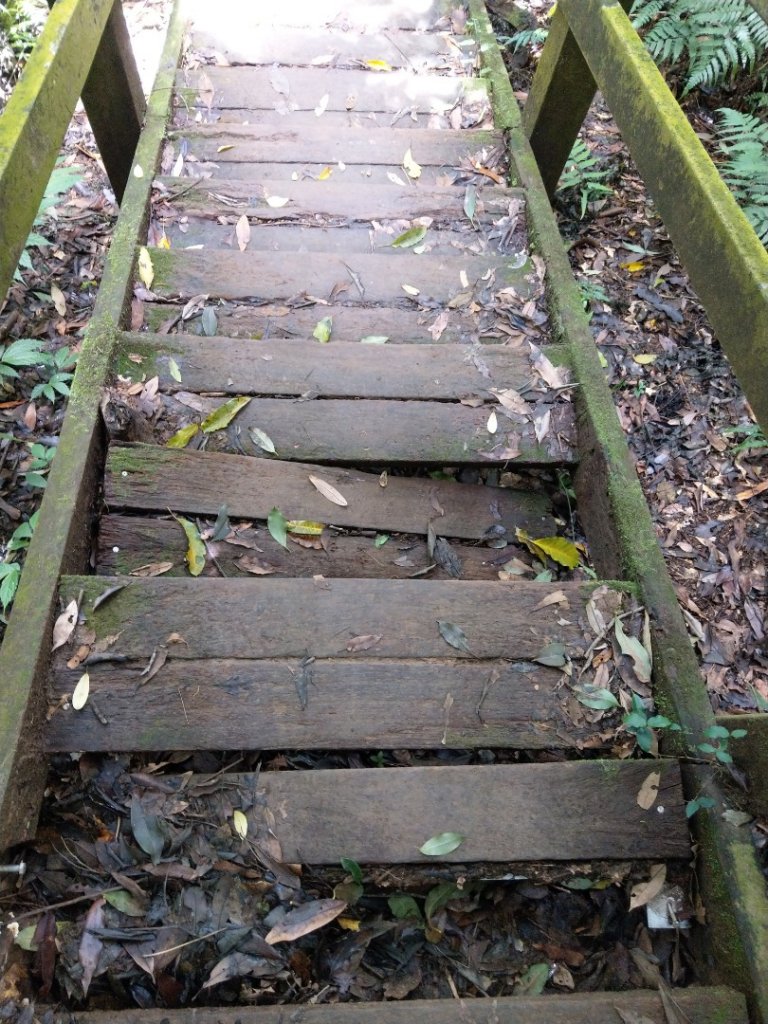 馬那邦山（天然湖起登）_1019706