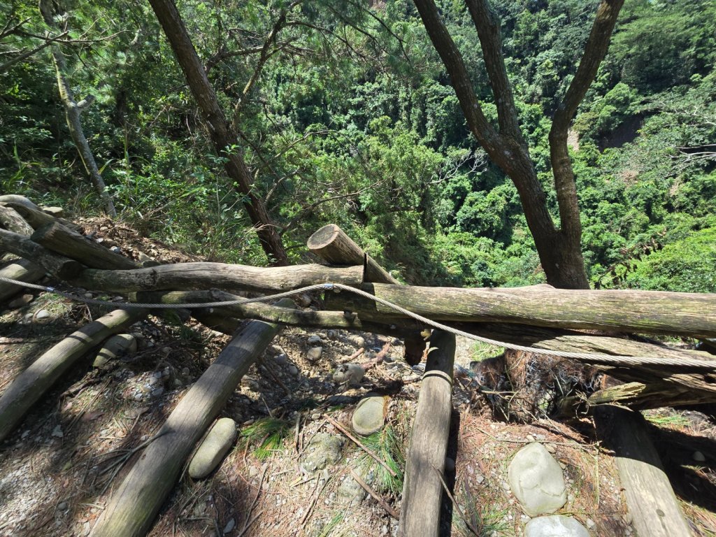 台中大坑四號登山步道（毀損）_2563652