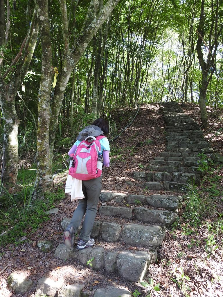 20180609望美山-瓊山(獵人古道)_348724