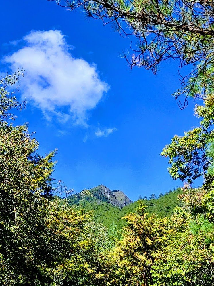 如童話般的森林步道-武陵桃山瀑布步道_1190831
