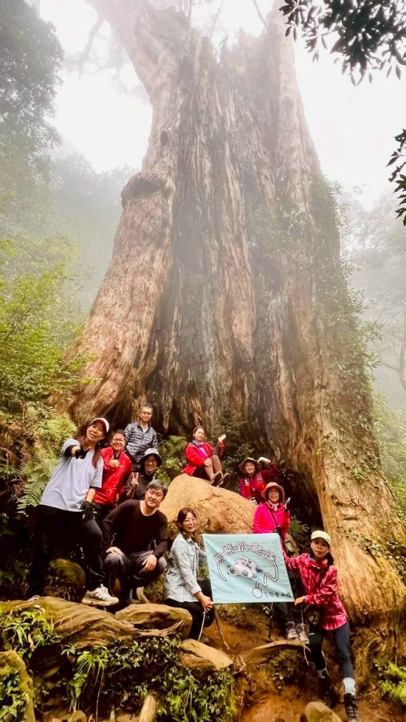 🌈12/28（日）北得拉曼神木+內鳥嘴山✨FB：熊熊趴爬走🌈封面圖