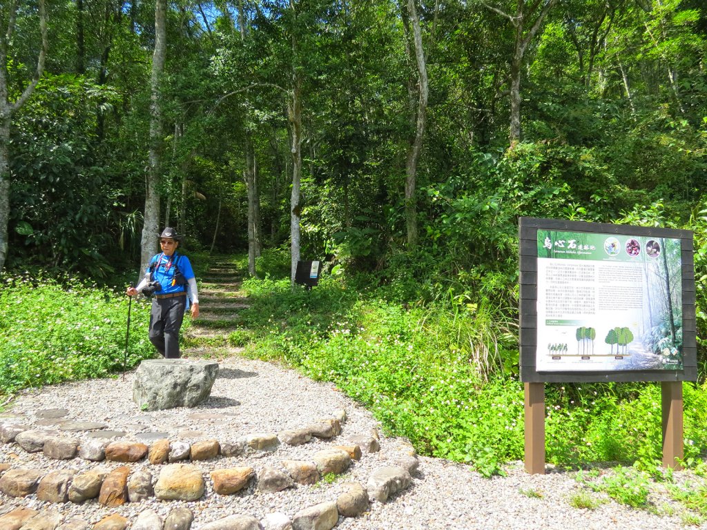 拳頭姆自然步道輕鬆行_792642