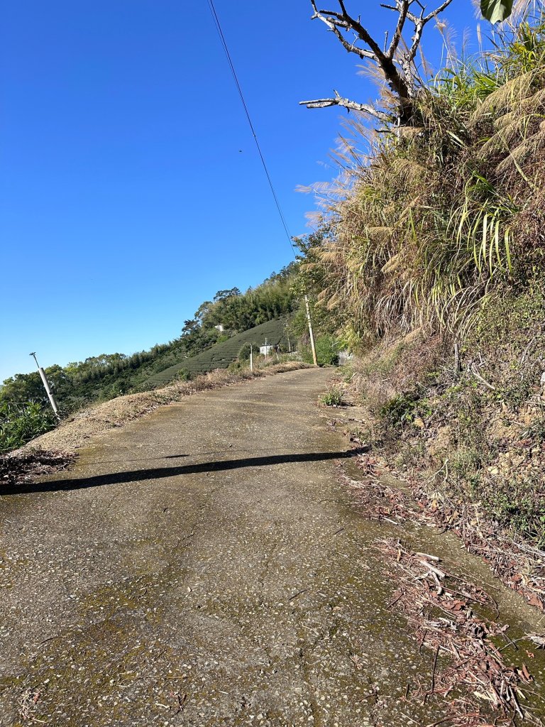 五元二角、雲嶺之丘 、番子田山、木馬古道_2451121