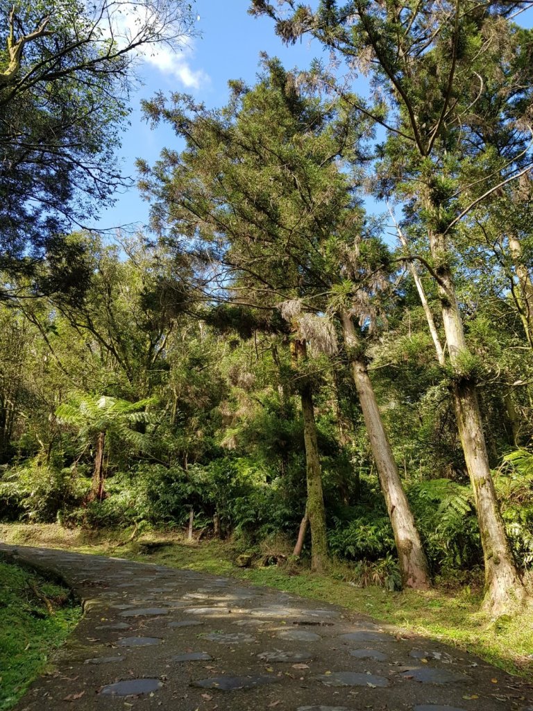 2020.01.06 坪林-獅公髻尾山_799933