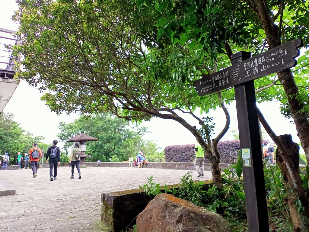 《親子同遊翠山步道→小溪頭環狀步道→大崙頭尾山步道》,【小百岳集起來】#008 大崙頭山 H476m_1697502