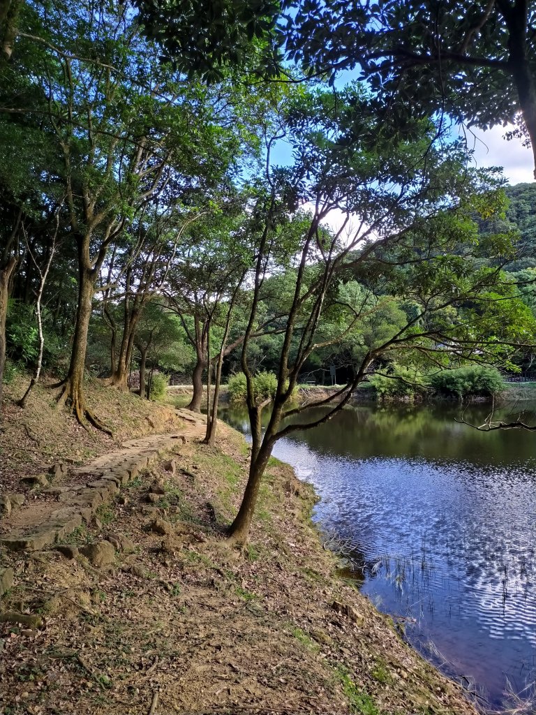 【七夕情人節】約她（他）去爬一座山吧！汐止「夢湖」環湖步道_1785897