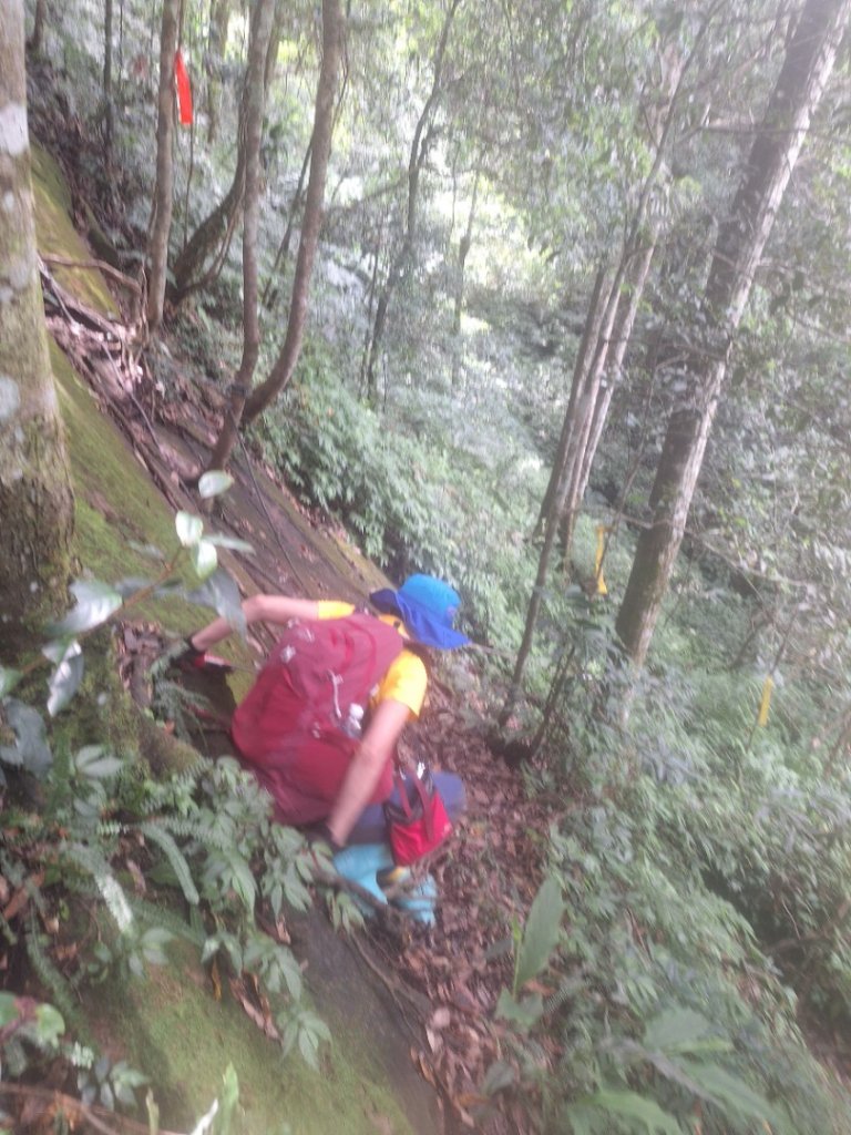 嘎色鬧上那結山_2575548