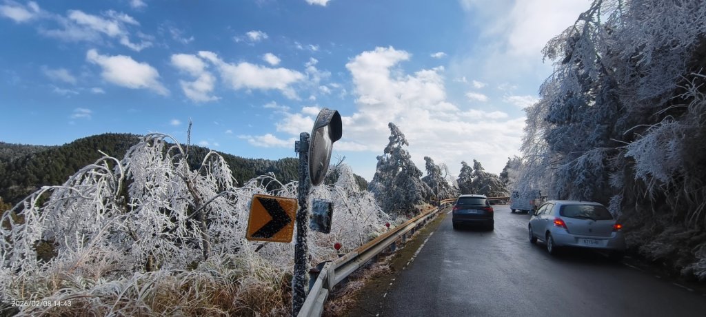 #霧淞 #雲海 #雲瀑 #霧虹 #太平山 #望洋山 #觀雲步道 #翠峰道路  2/8_2995269