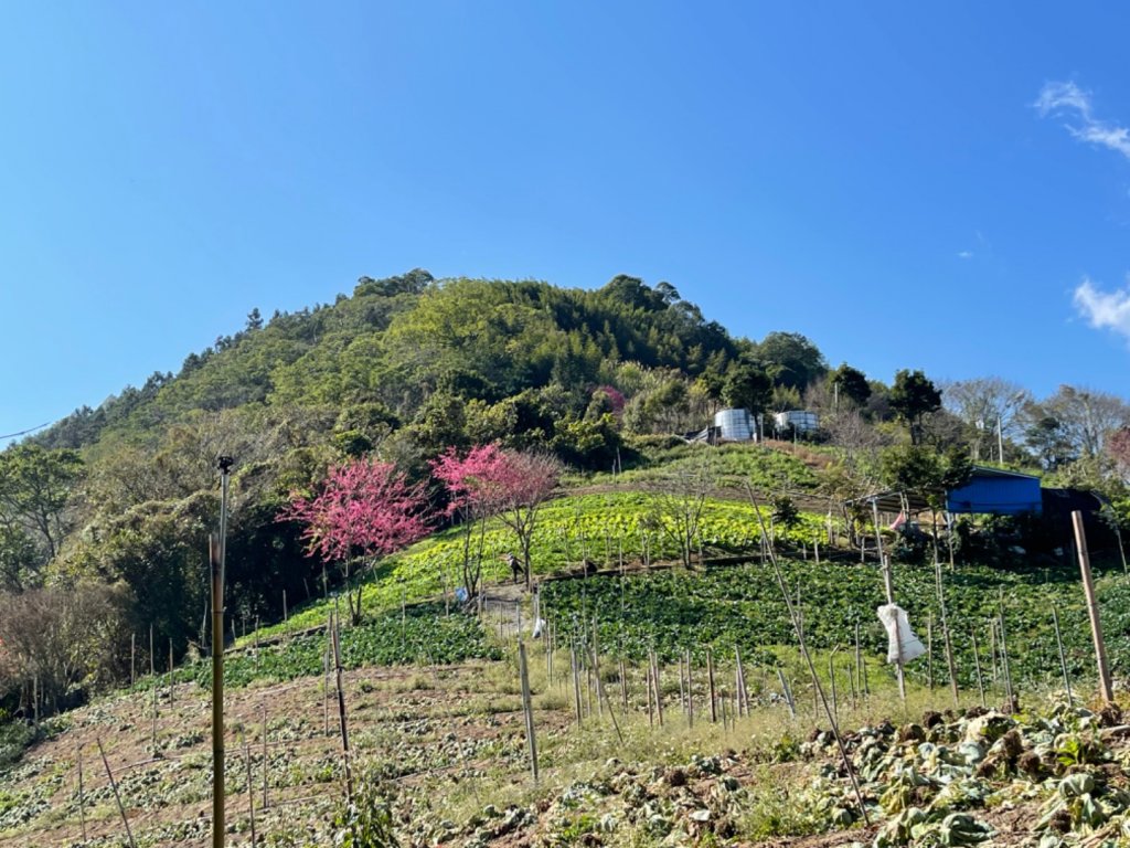 1110115望美山.瓊山_1583240