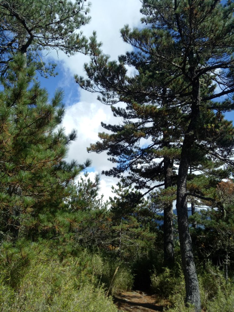 將軍廟上天鑾池+武法奈尾山_1881017