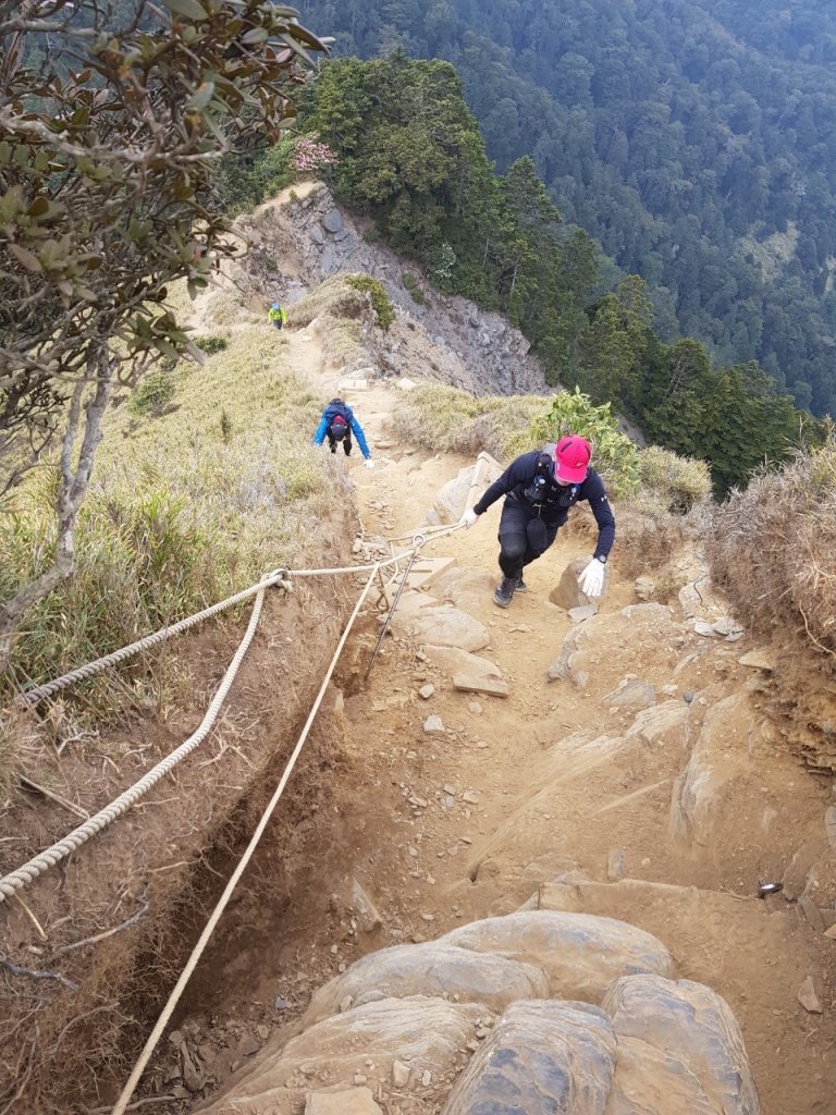 合歡西北峰越野跑_1493117