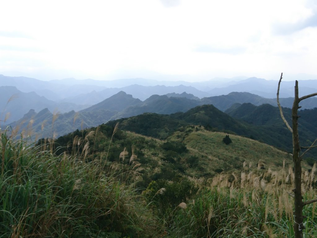 泰安瀑布-姜子寮山步道_821768