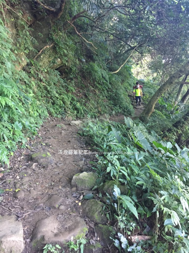 溪洲山登山口-新溪洲山-石門水庫_897609