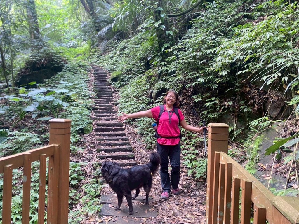 苗栗縣獅潭鄉鳴凰古道O型縱走_2803653