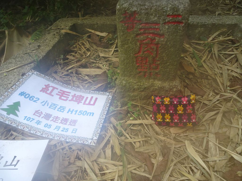 台灣小百岳嘉義大埔-紅毛埤山及三腳南山_348894