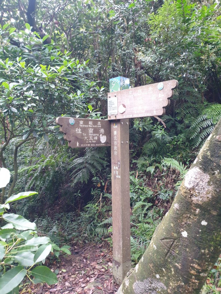 臺北大縱走第六段_1516151