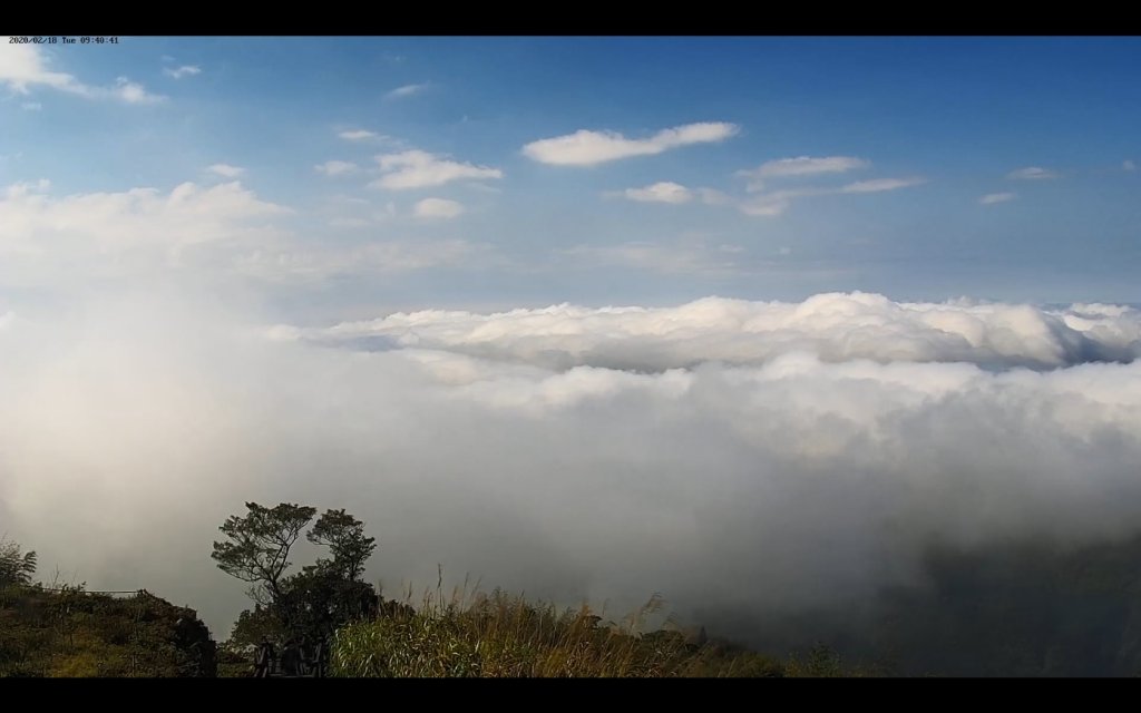 阿里山雲瀑&雲海/富士山直播即時視訊_841046
