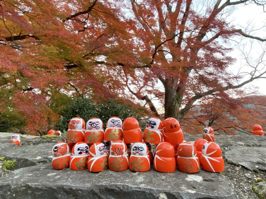 楓之絆----京都大阪賞楓_2967319