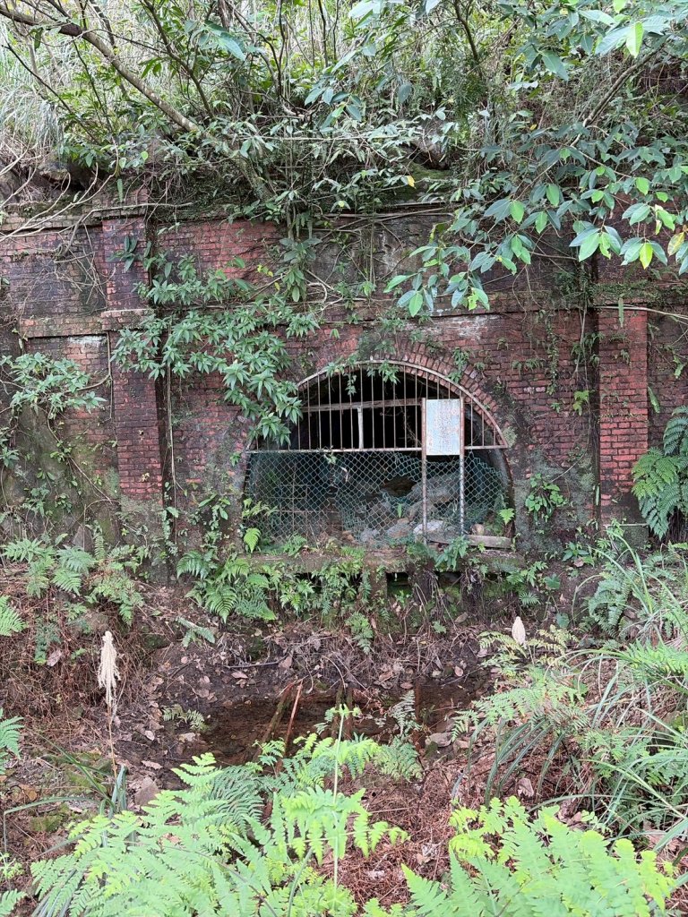 新北 金瓜石 煙囪山_2981263