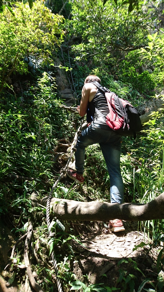 孝子山 ．慈母峰．普陀山．中央尖_52673