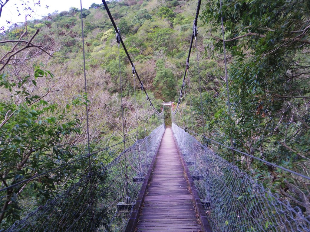 追憶 錐麓古道_2481979