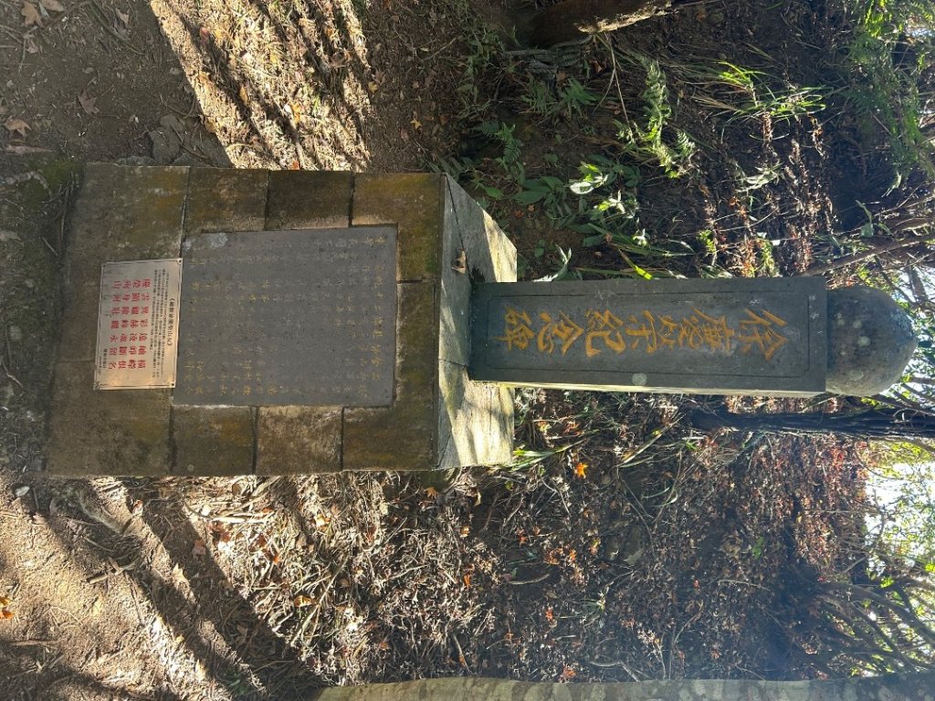 苗栗大湖-馬那邦山-小百岳037_2679928