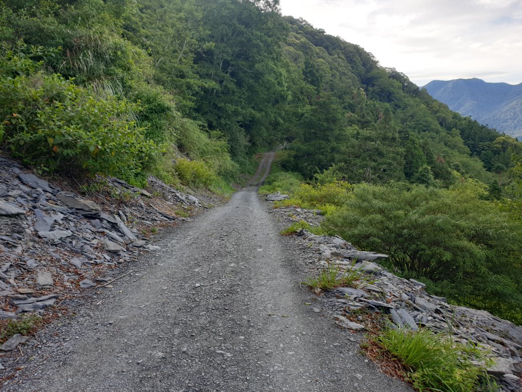 20220619結城山_1754834