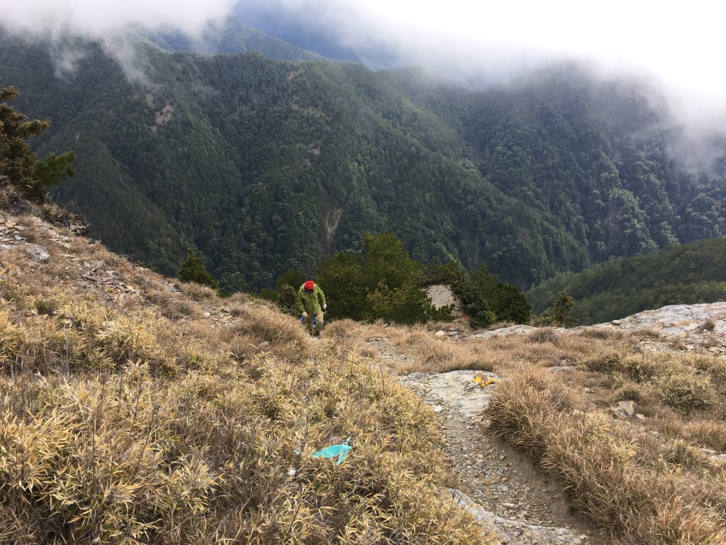 八通關山、八通關山西峰、秀姑巒山_526193