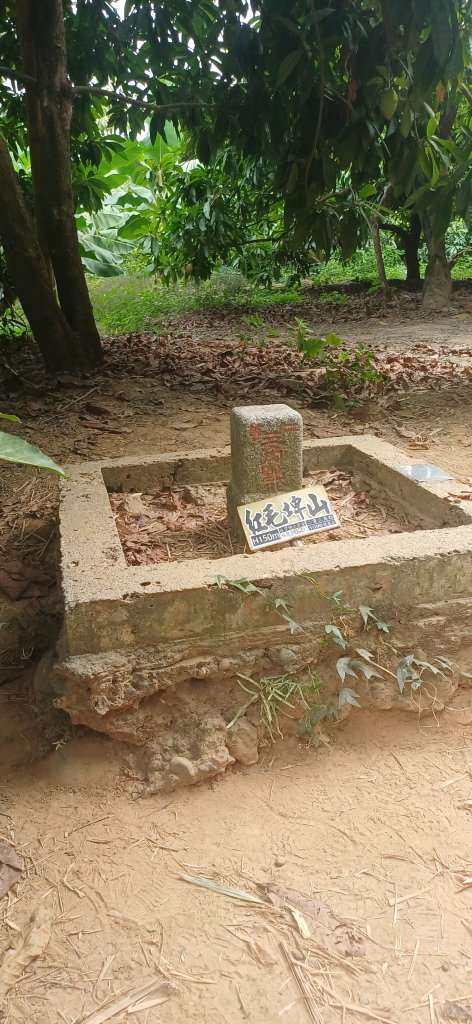 紅毛埤山+蘭潭.嘉市東區封面圖