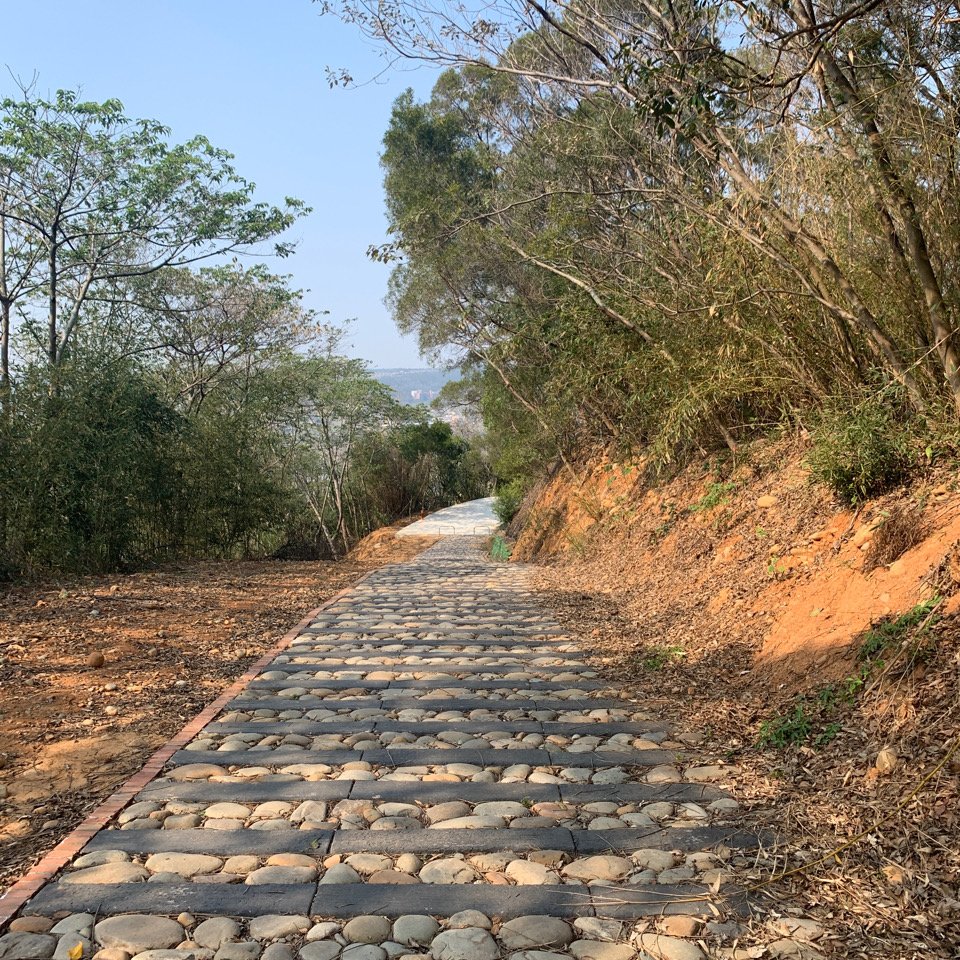 文山步道-犁頭山1100221_1279494